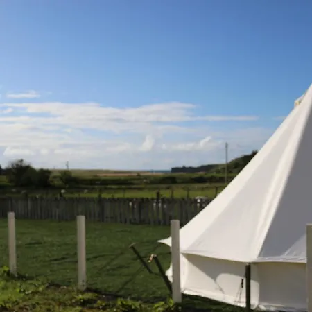 Glamping Binion Bay Glamping *